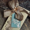 Gift notes FLORA and FAUNA