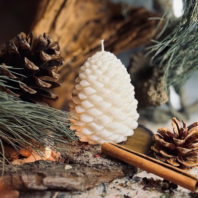 Sojas vaska svece ZIEMAS EGLE