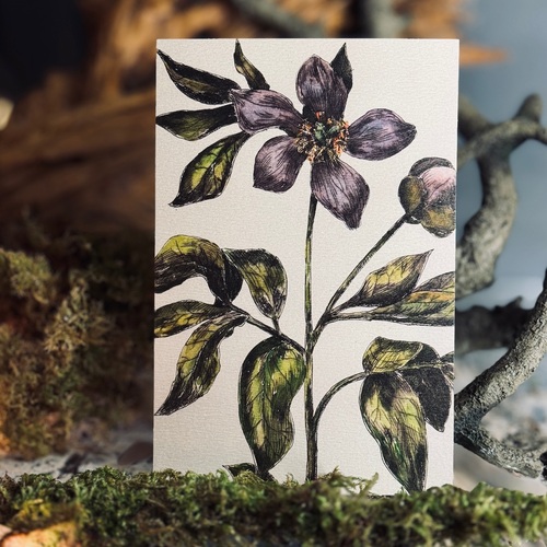 Drawn greeting cards.