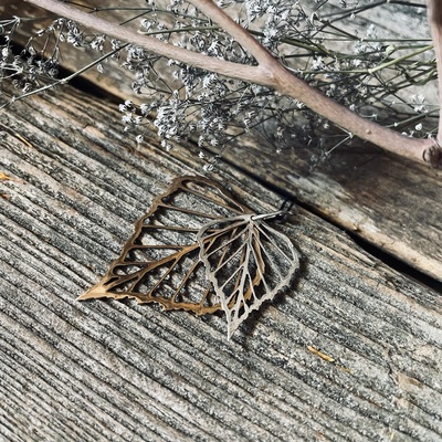 Sudraba un bronzas kulons Bērzs